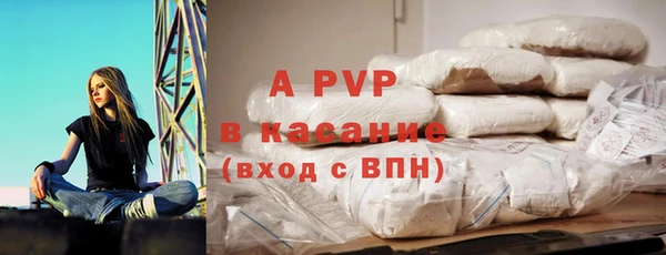 spice Богданович