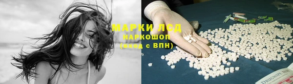 spice Богданович