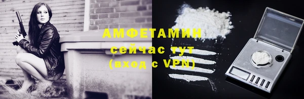 spice Богданович