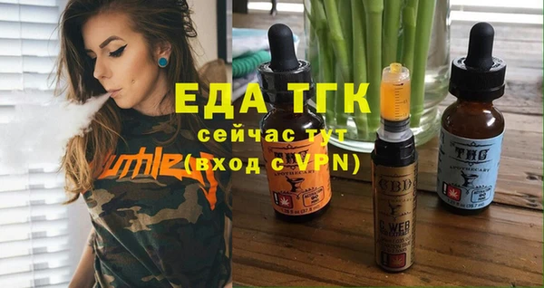 дмт Богородицк