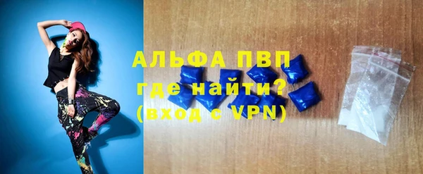 spice Богданович