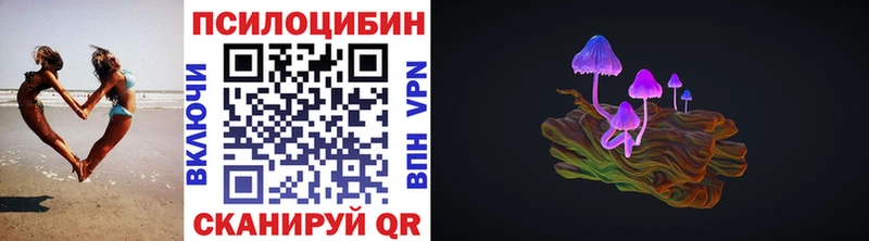 как найти наркотики  Гаврилов-Ям  Псилоцибиновые грибы мухоморы 