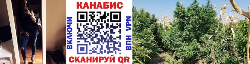 blacksprut зеркало Гаврилов-Ям Бошки марихуана семена закладка